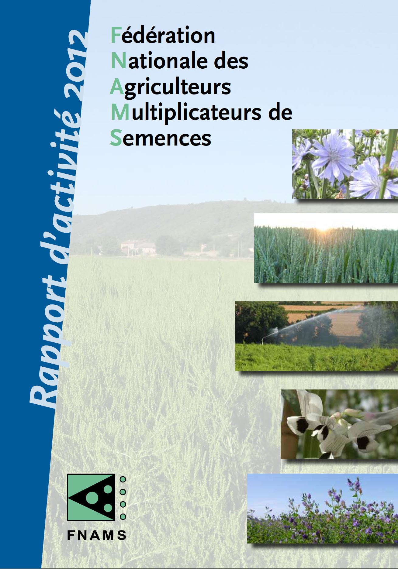 RapportActivité2012