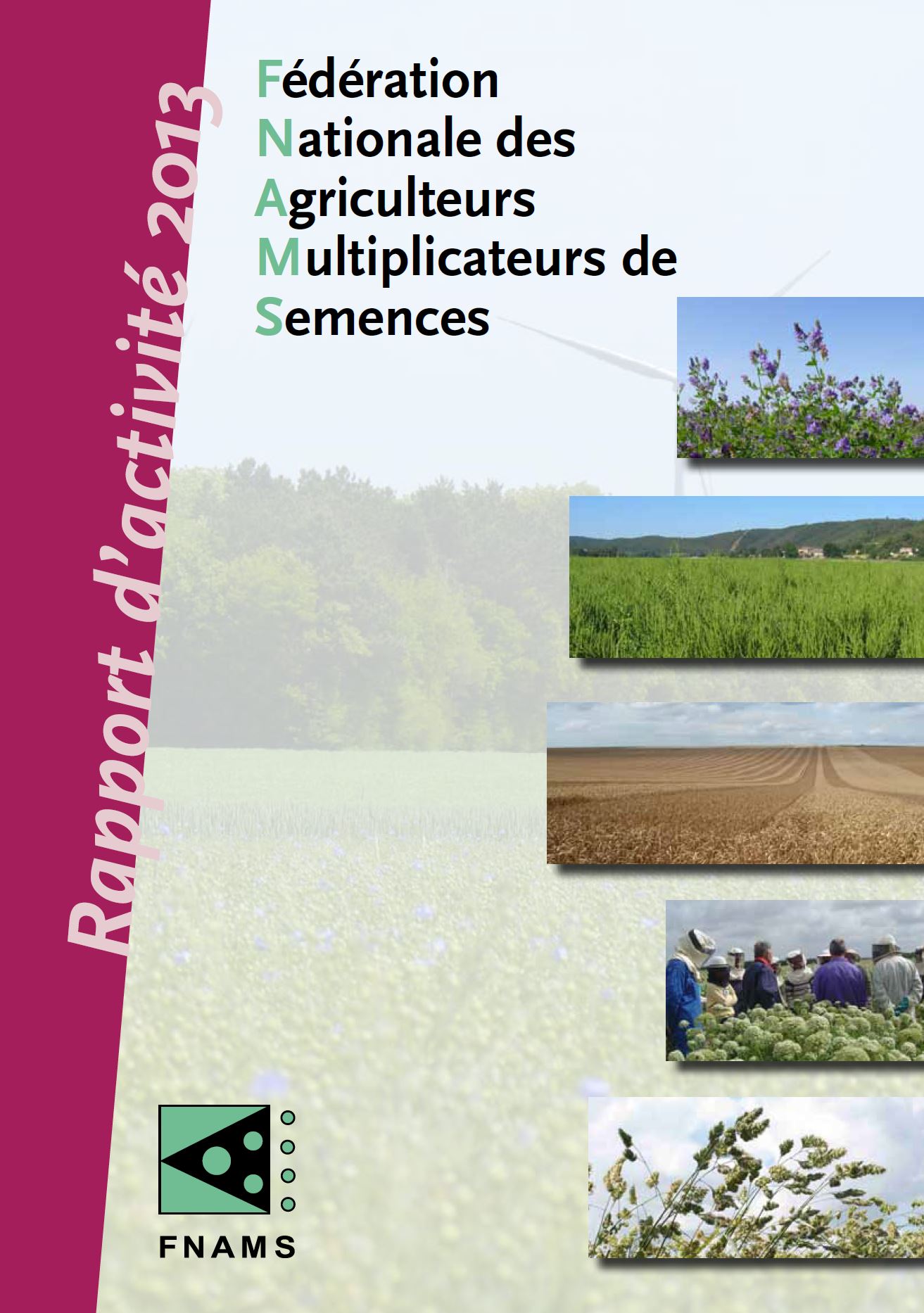 RapportActivité2013