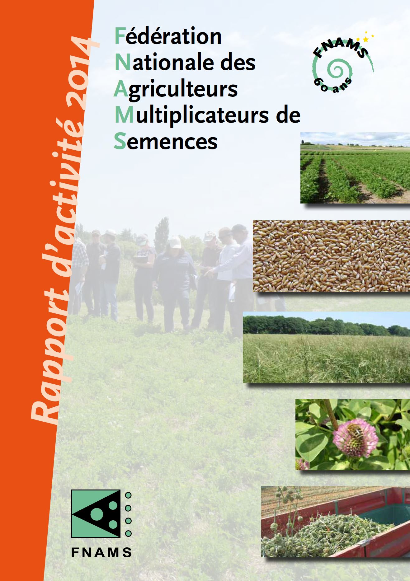 RapportActivité2014
