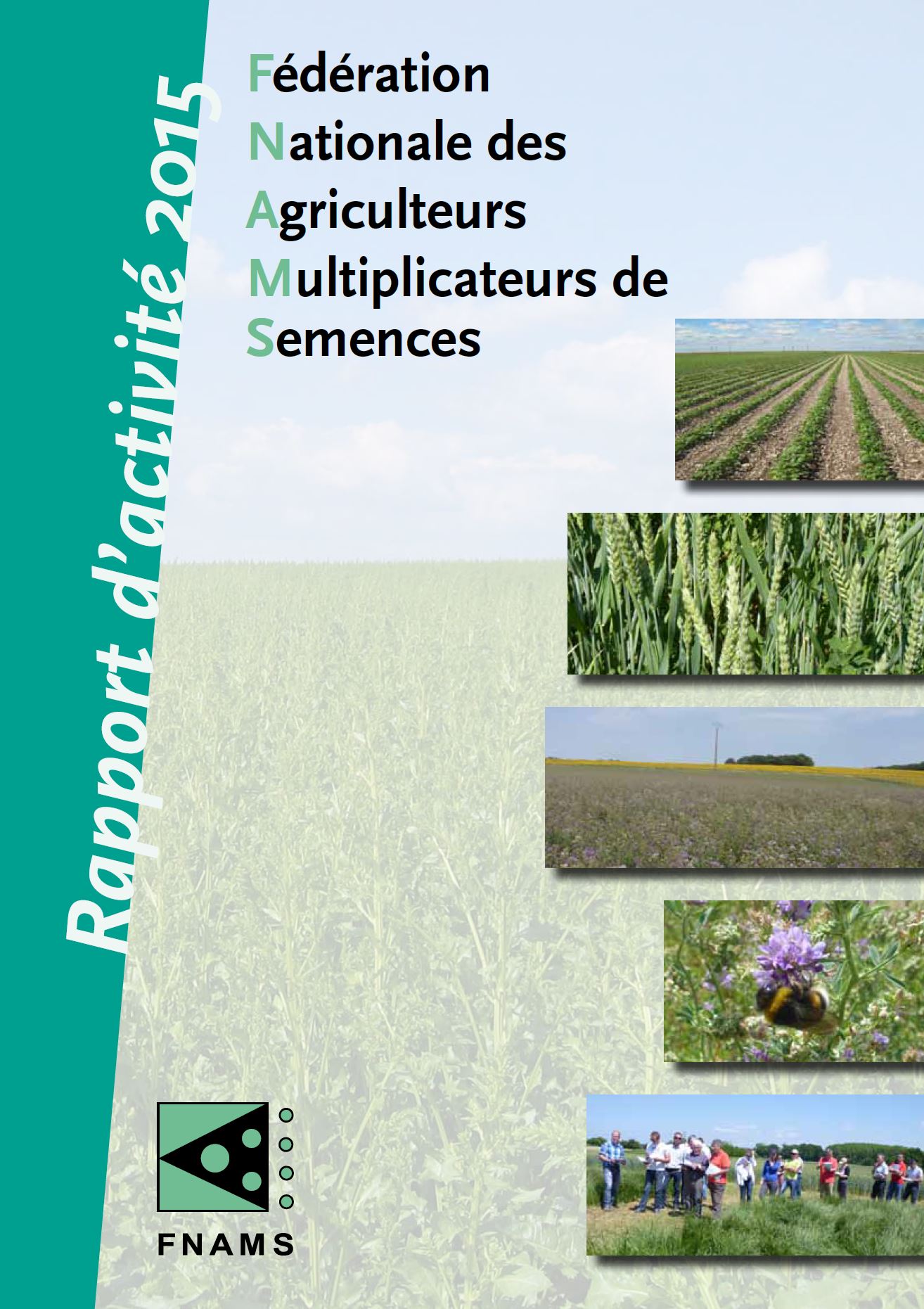 RapportActivité2015